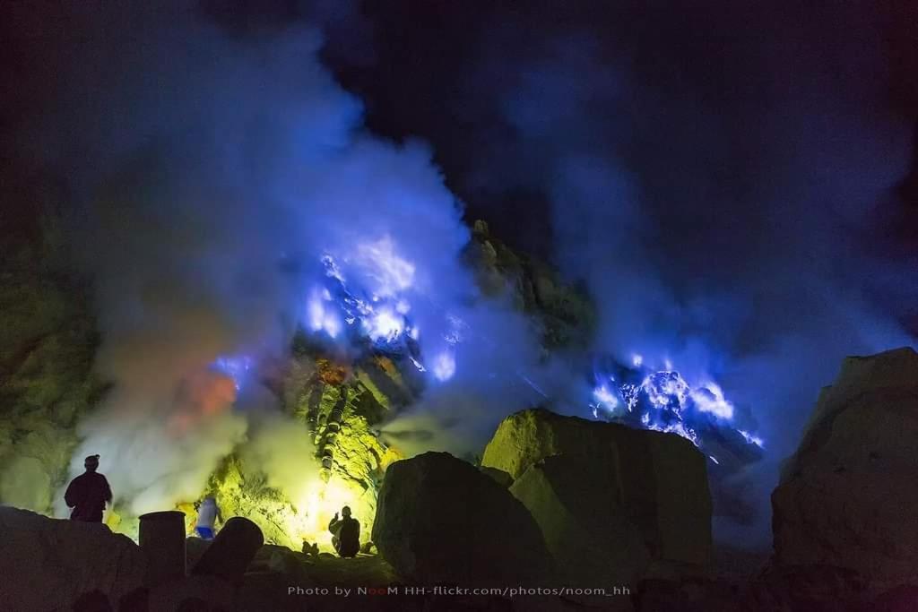 Dannu'S Homestay Ijen And Bromo Tour Banyuwangi  Exterior photo