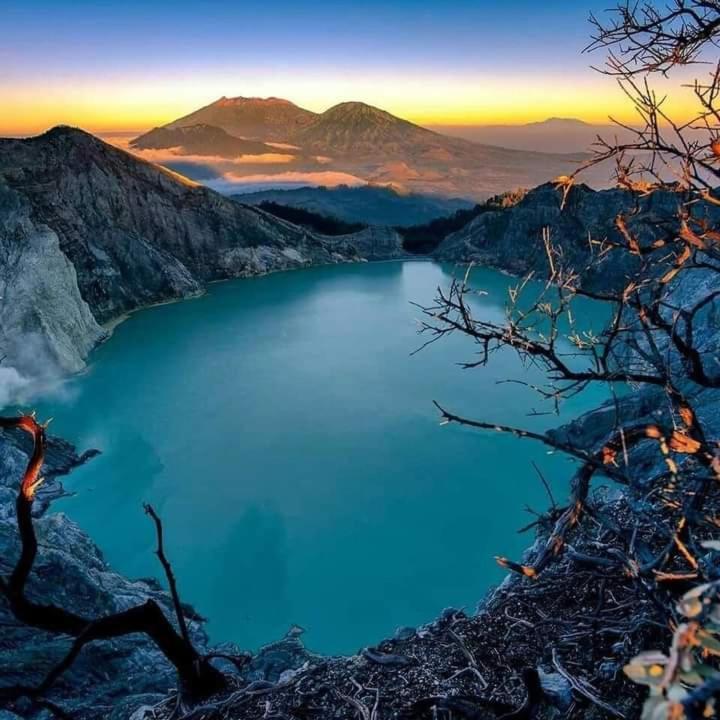 Dannu'S Homestay Ijen And Bromo Tour Banyuwangi  Exterior photo