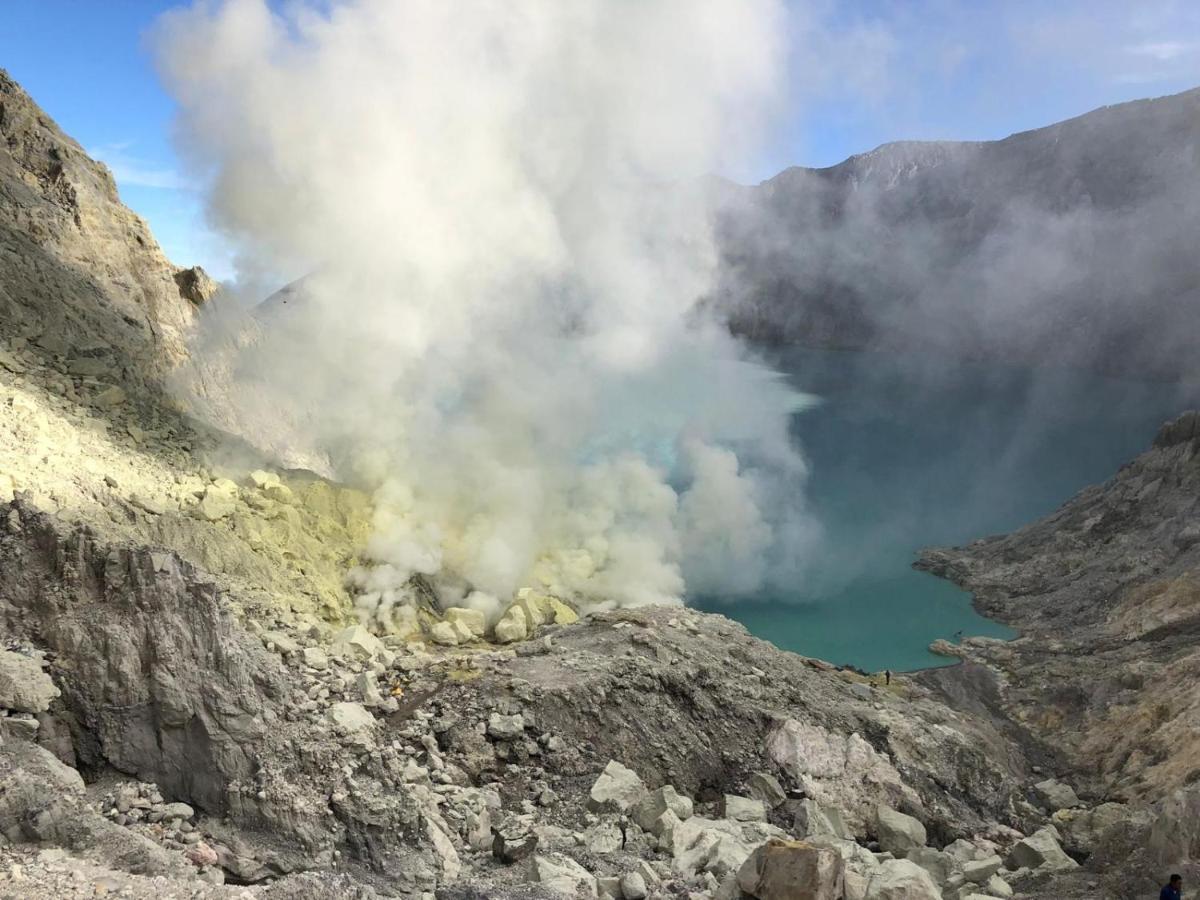 Dannu'S Homestay Ijen And Bromo Tour Banyuwangi  Exterior photo